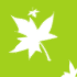 footer-icons-1.png